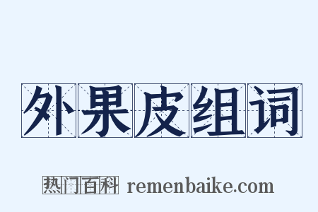 外果皮组词是什么意思的图片
